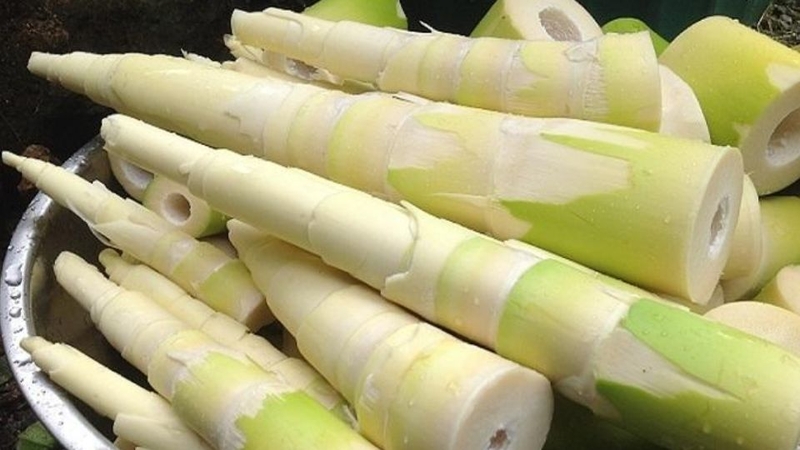 ĐẶC SẢN BA VÌ – NHỮNG MÓN ĂN NHẤT ĐỊNH PHẢI THỬ